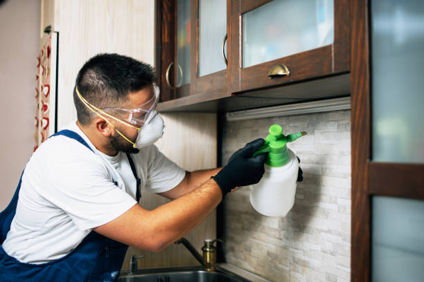 Best Best Pest Control Companies  in Island Park, NY