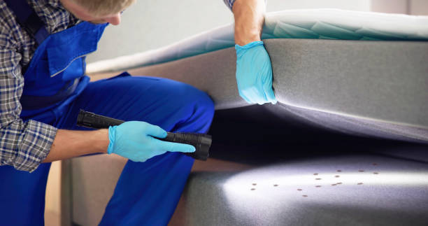 Best Commercial Pest Control Services  in Island Park, NY